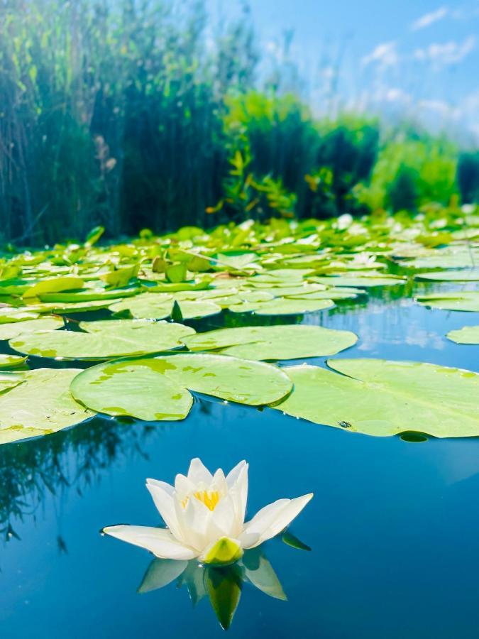 Danube Delta View Hotel Dunavăţu de Jos Bagian luar foto
