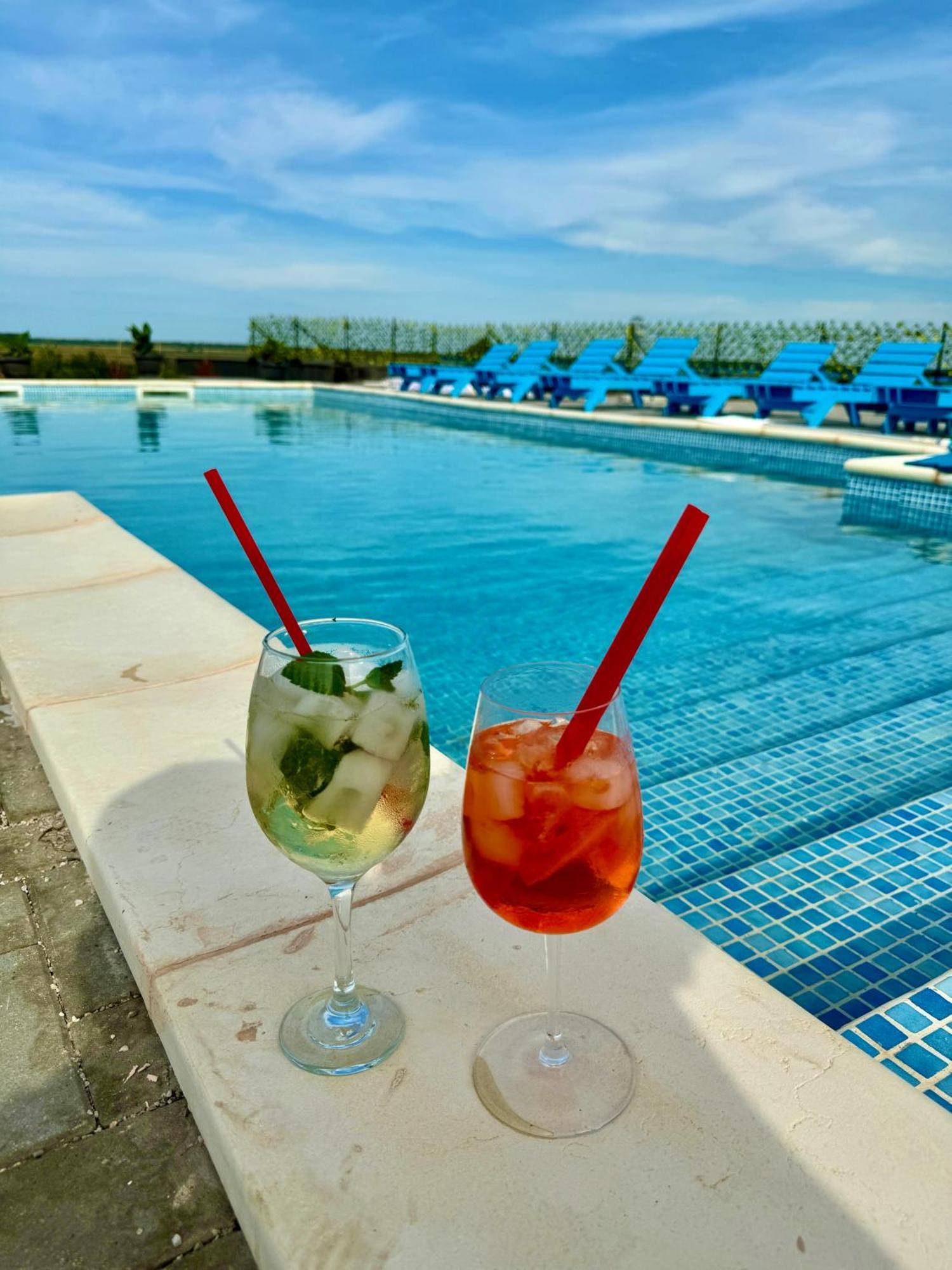 Danube Delta View Hotel Dunavăţu de Jos Bagian luar foto