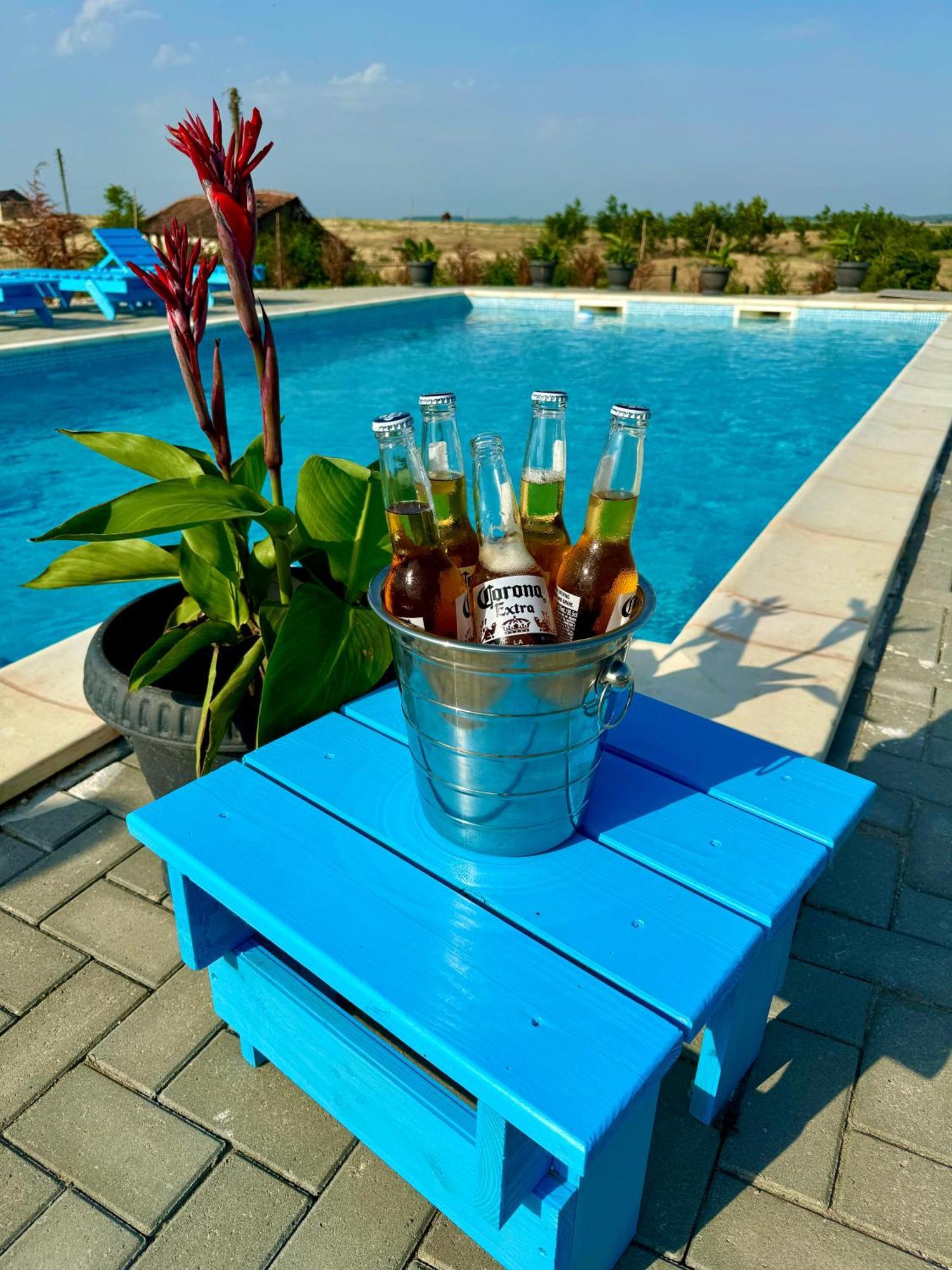 Danube Delta View Hotel Dunavăţu de Jos Bagian luar foto