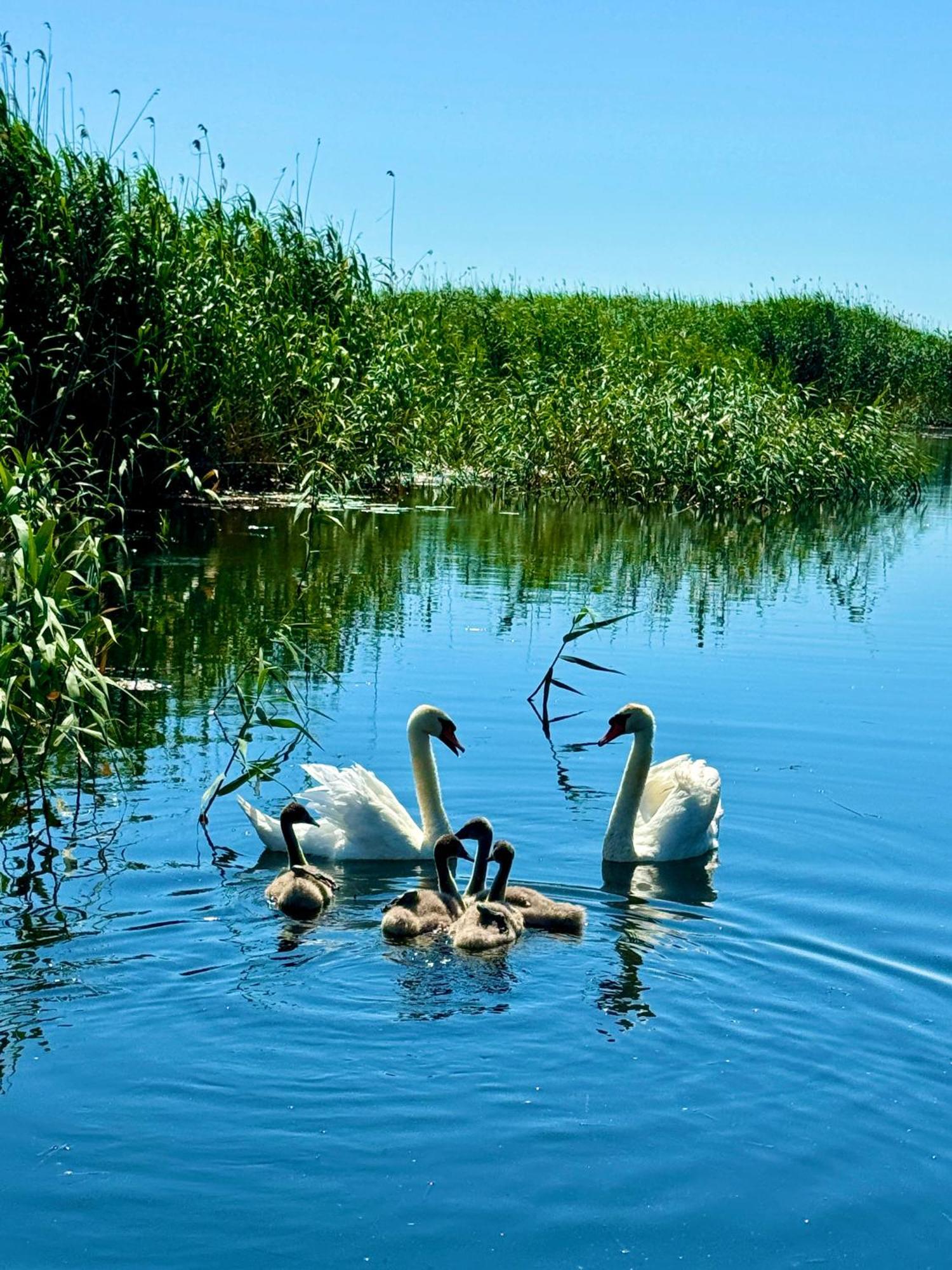 Danube Delta View Hotel Dunavăţu de Jos Bagian luar foto