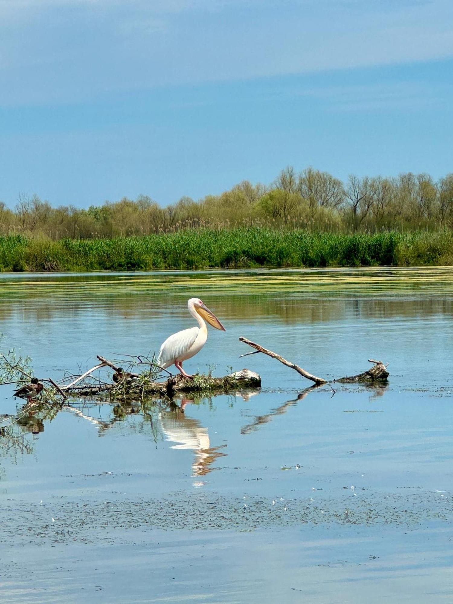 Danube Delta View Hotel Dunavăţu de Jos Bagian luar foto