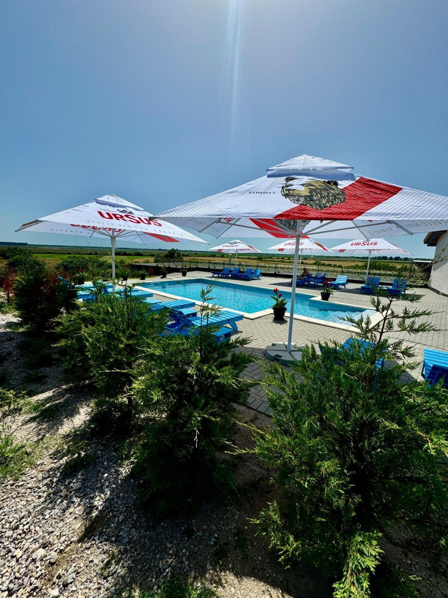 Danube Delta View Hotel Dunavăţu de Jos Bagian luar foto